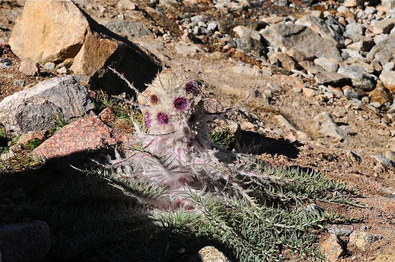 Kyrgyzstan, Asie Centrale